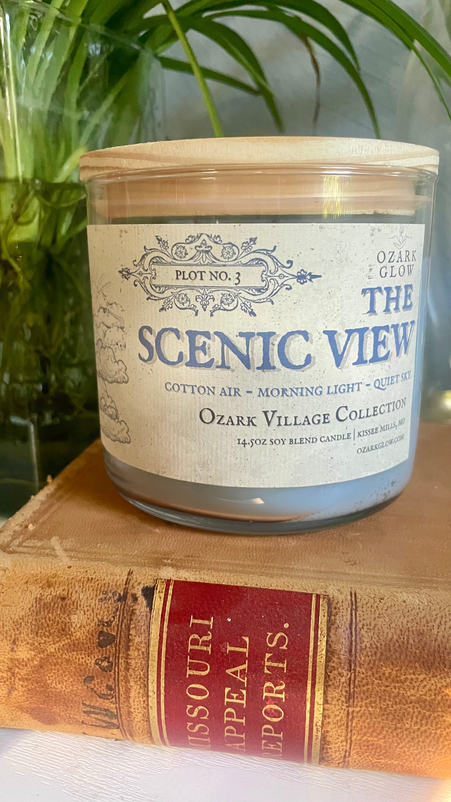 The Scenic View | Ozark Village Collection