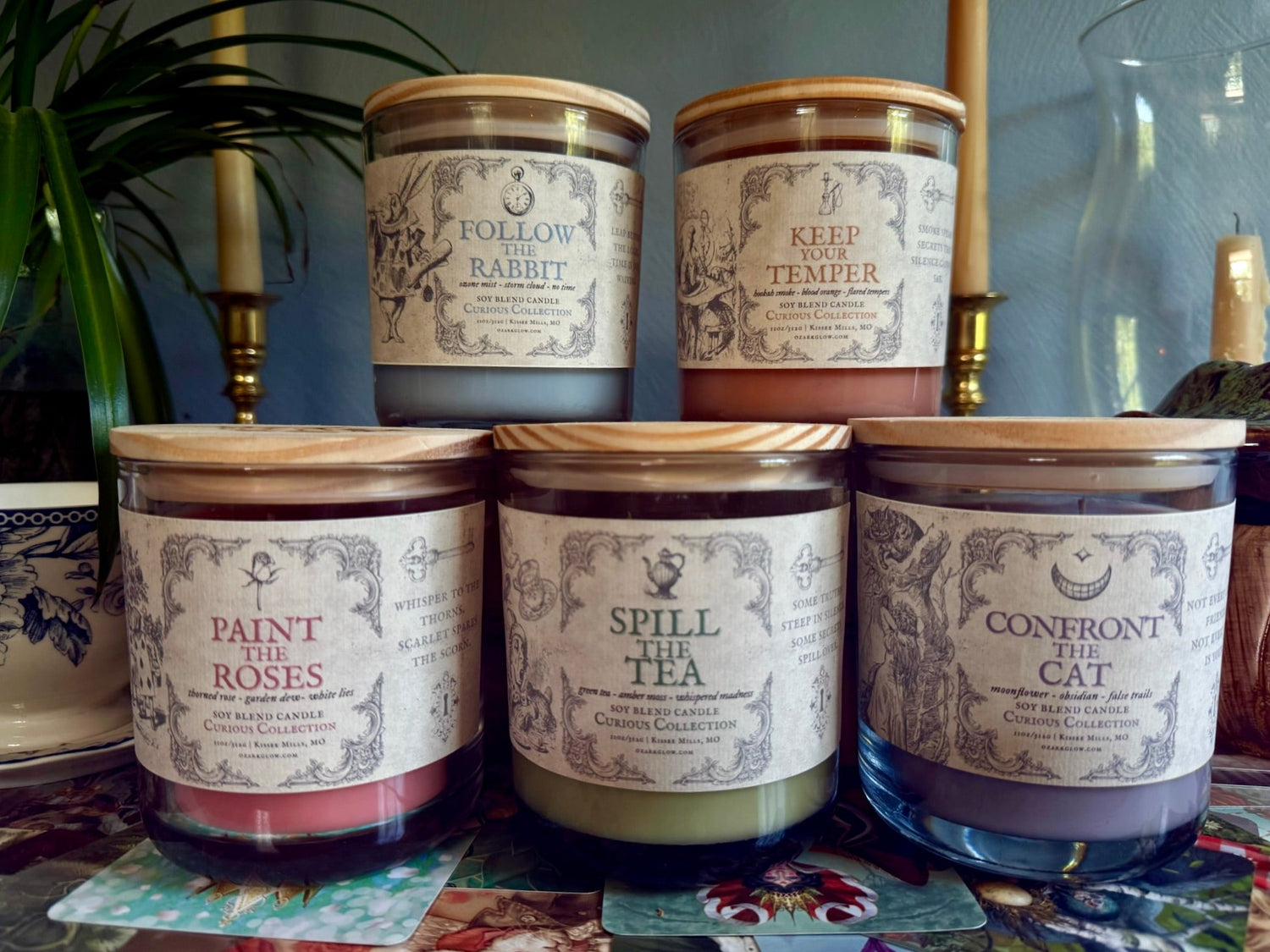 A Curious Collection