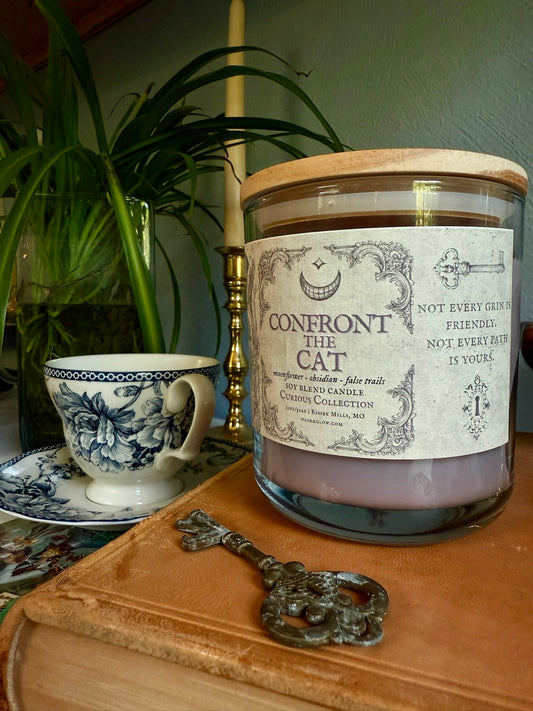 Confront the Cat | A Curious Collectiom