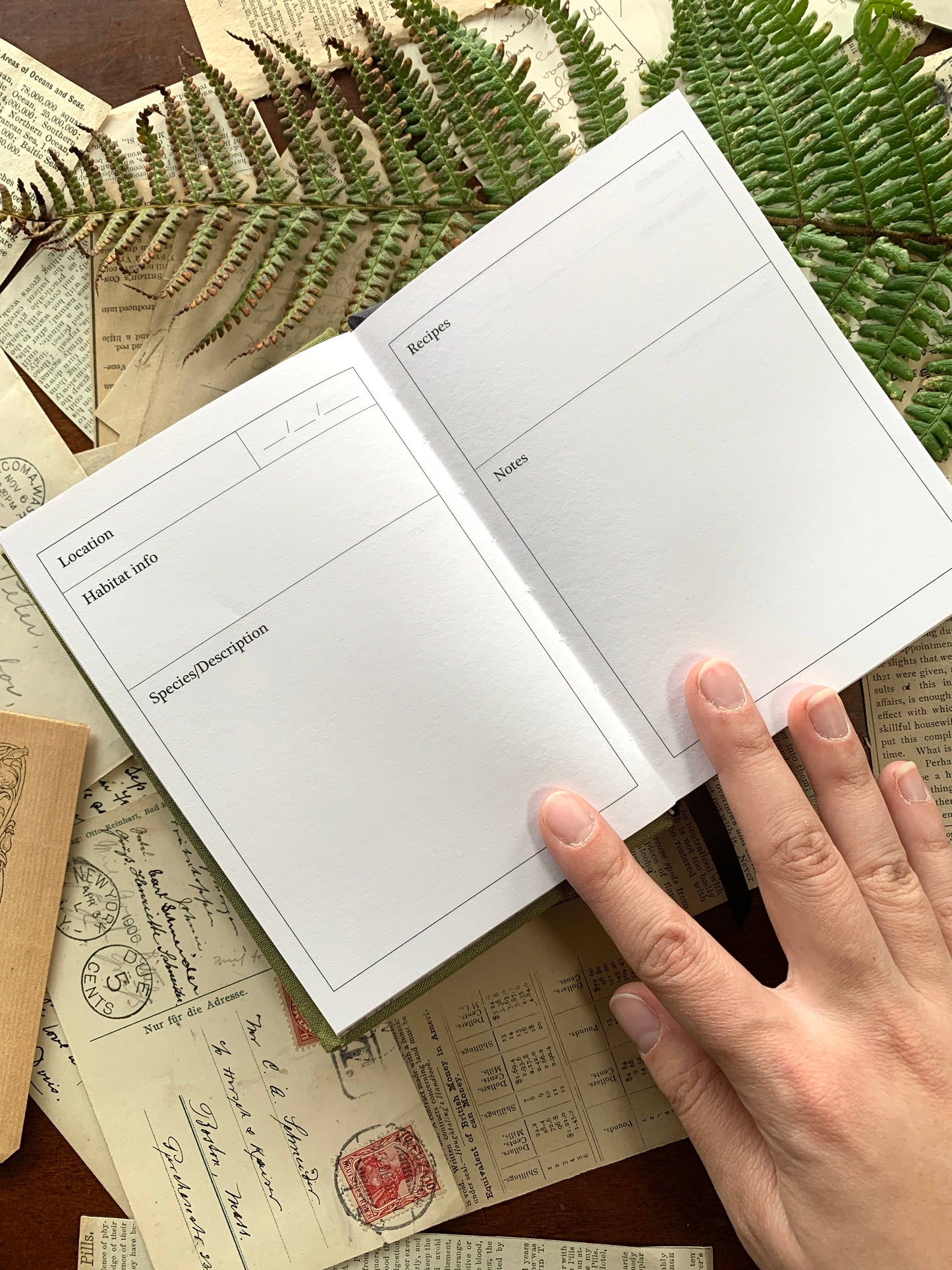 GREEN Foraging A6 field journal, 120gsm white paper