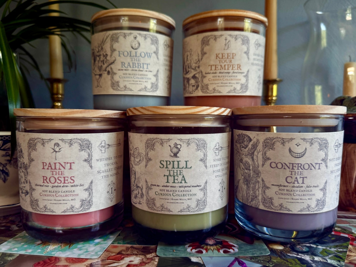 Confront the Cat | A Curious Collectiom