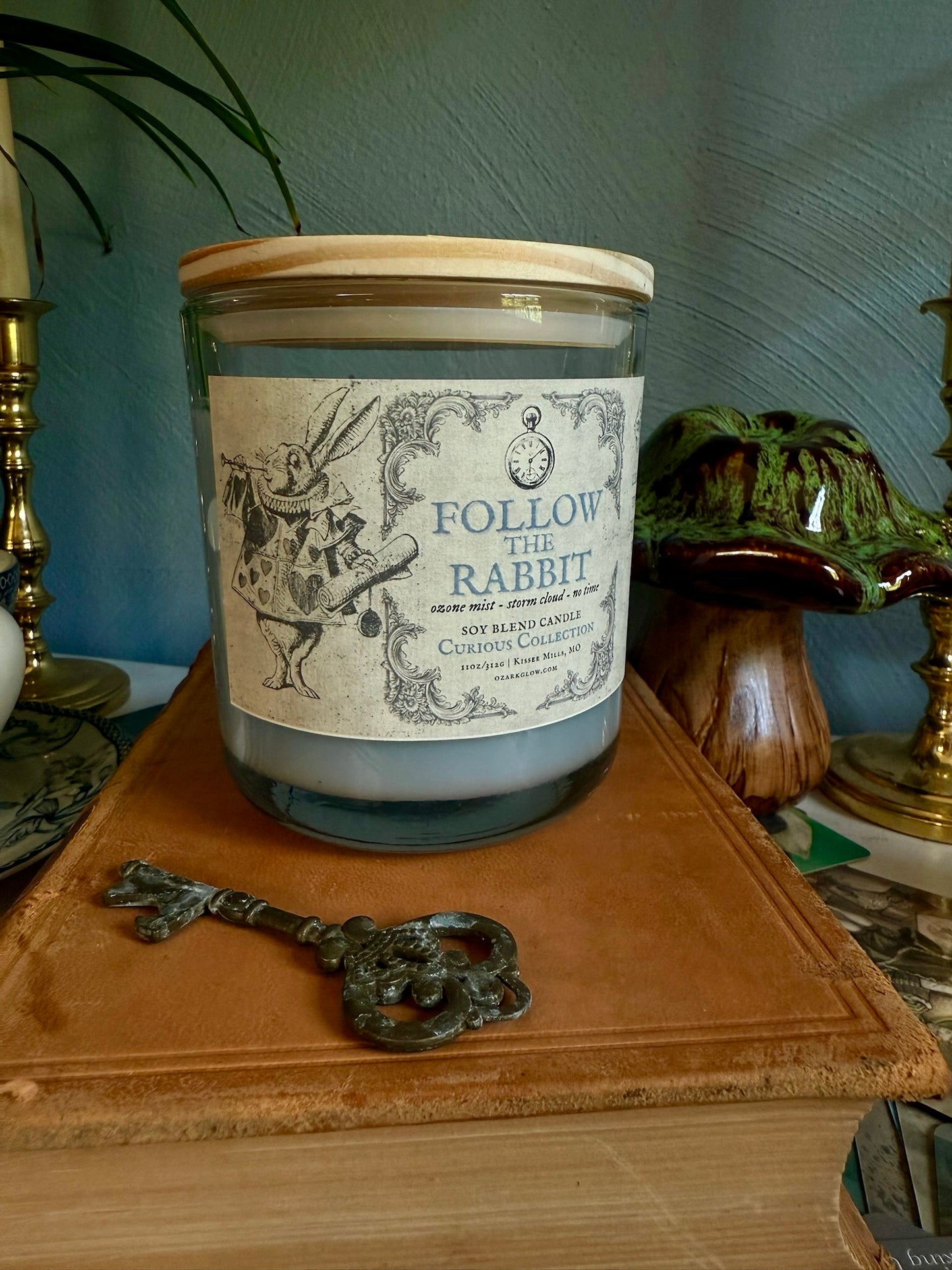 Follow the Rabbit | A Curious Collection