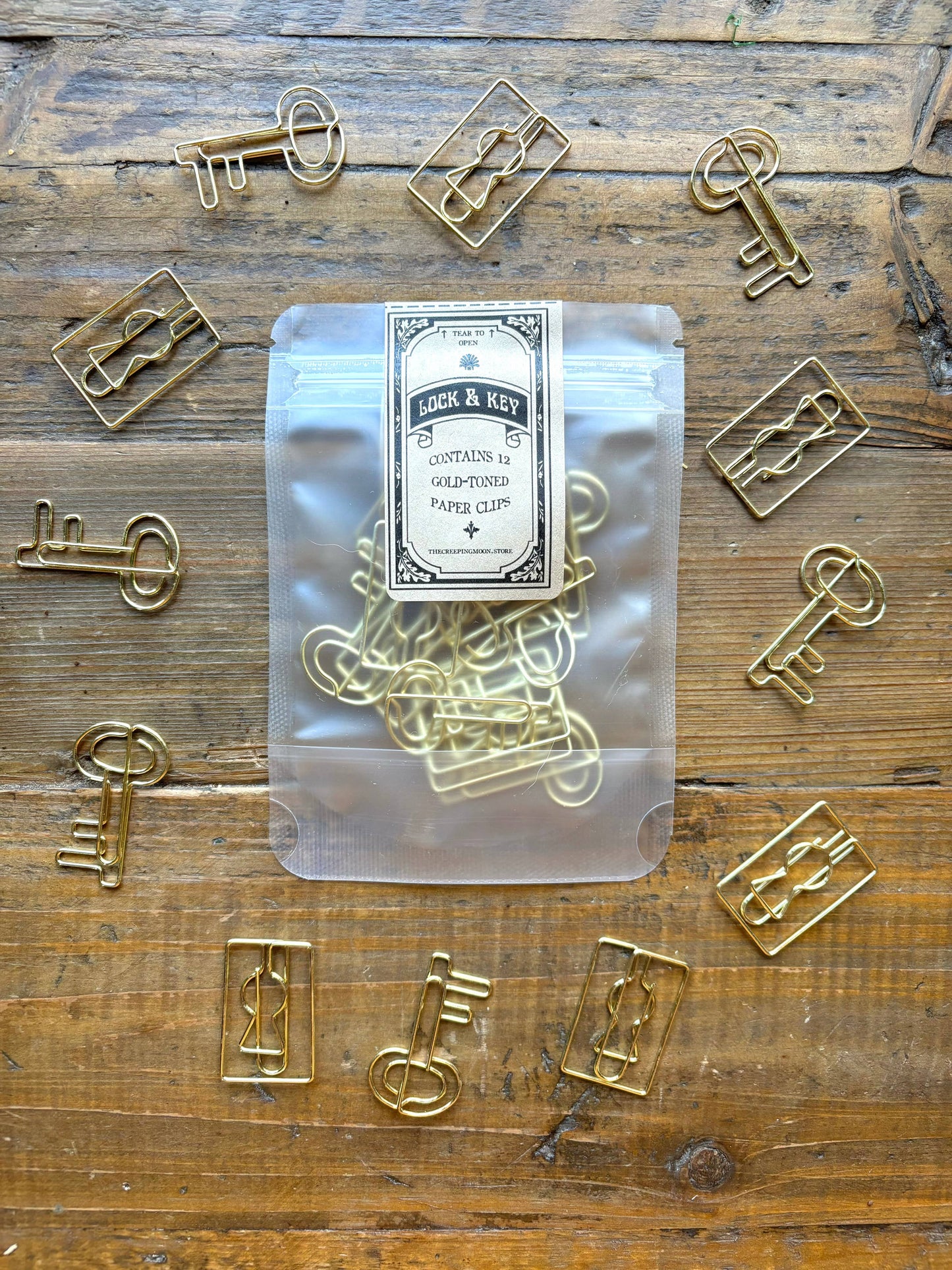 Lock & key paper clip set