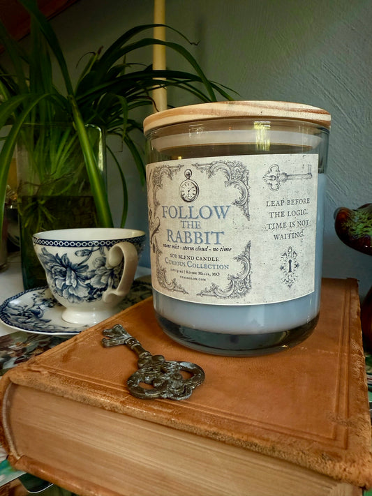 Follow the Rabbit | A Curious Collection
