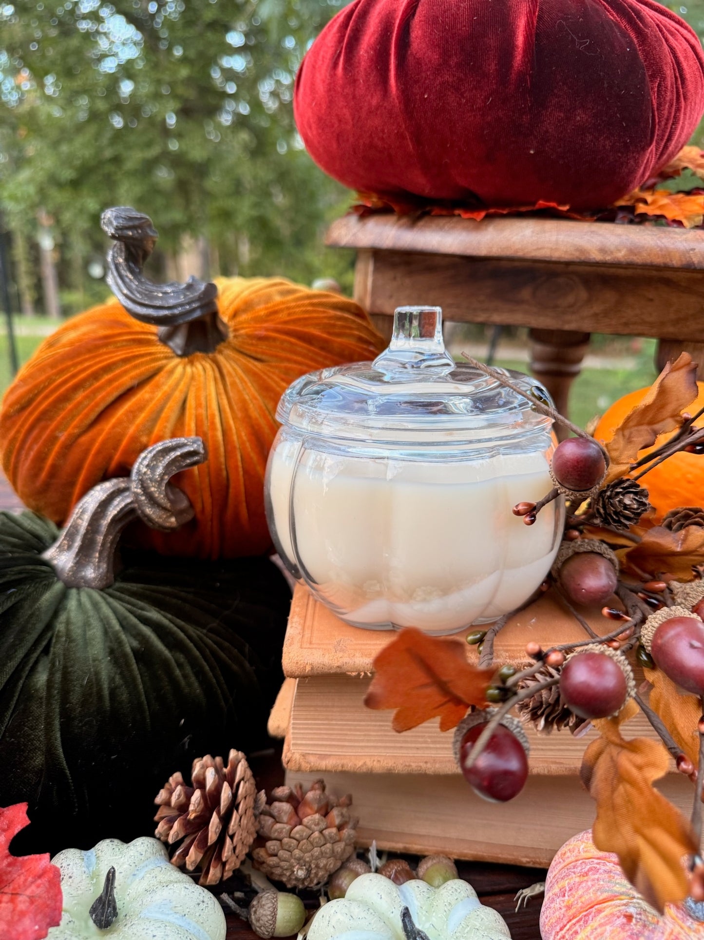 The Velvet Pumpkin - Limited Edition | Autumn 2025