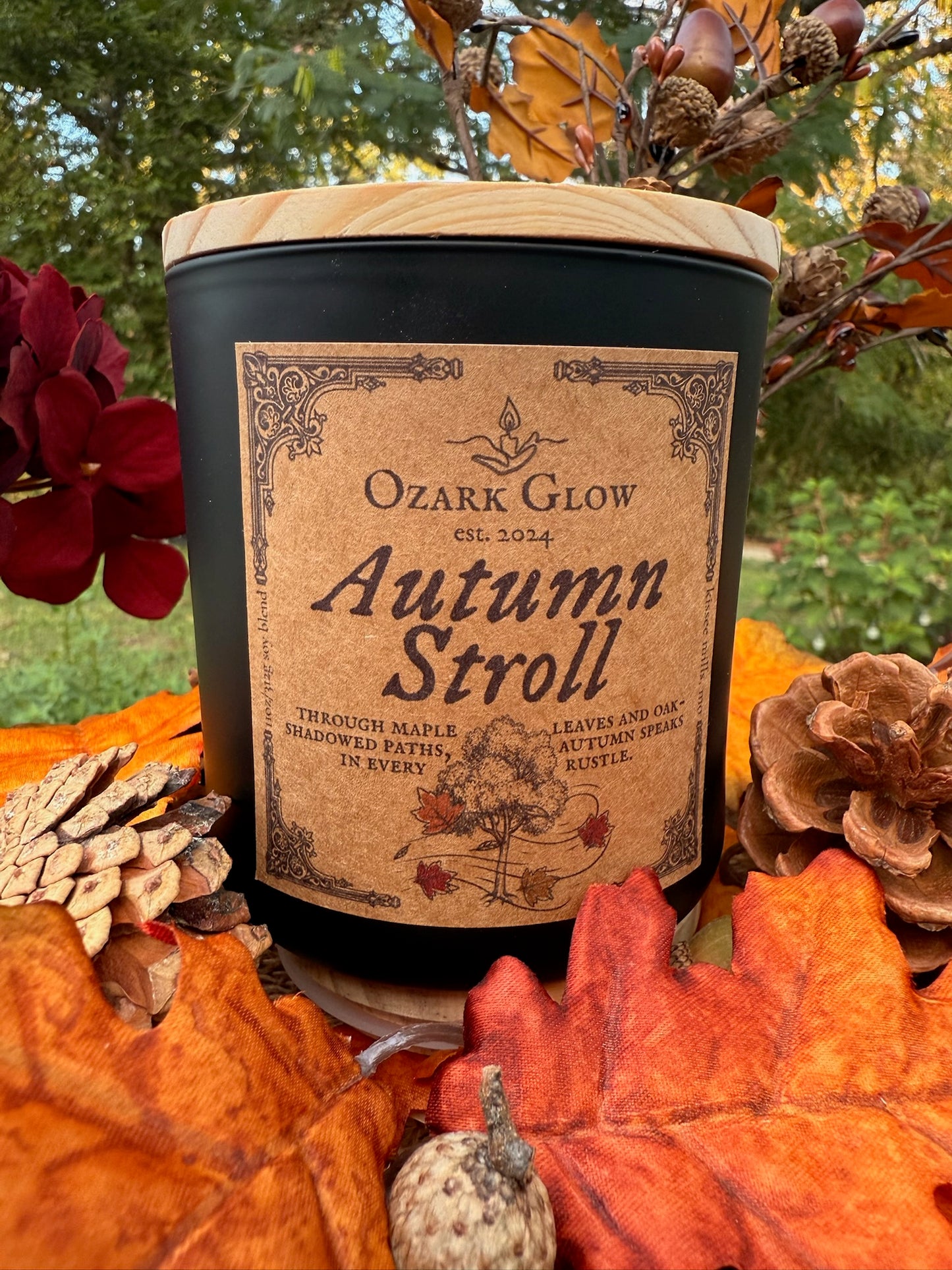 Autumn Stroll | Autumn 2025