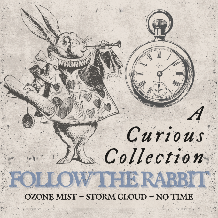 Follow the Rabbit | A Curious Collection