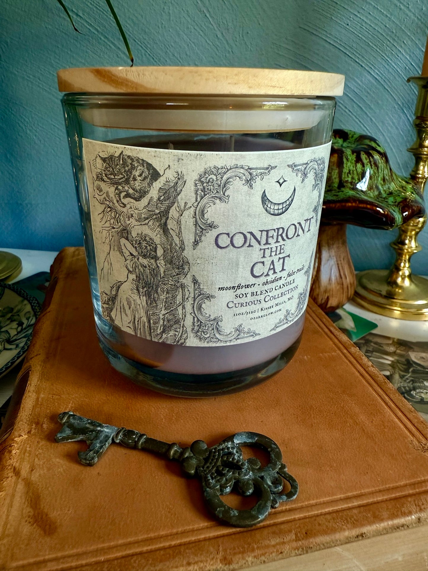 Confront the Cat | A Curious Collectiom