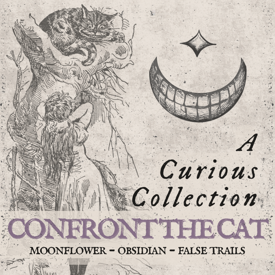 Confront the Cat | A Curious Collectiom
