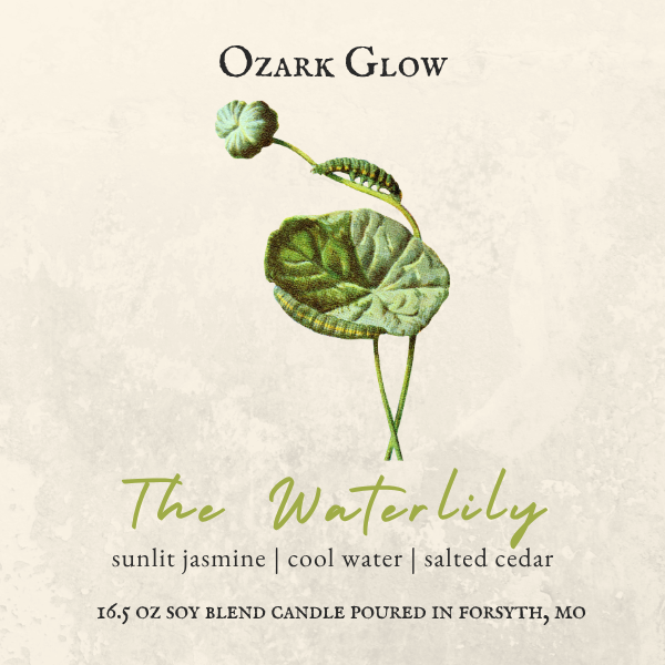 The Waterlily