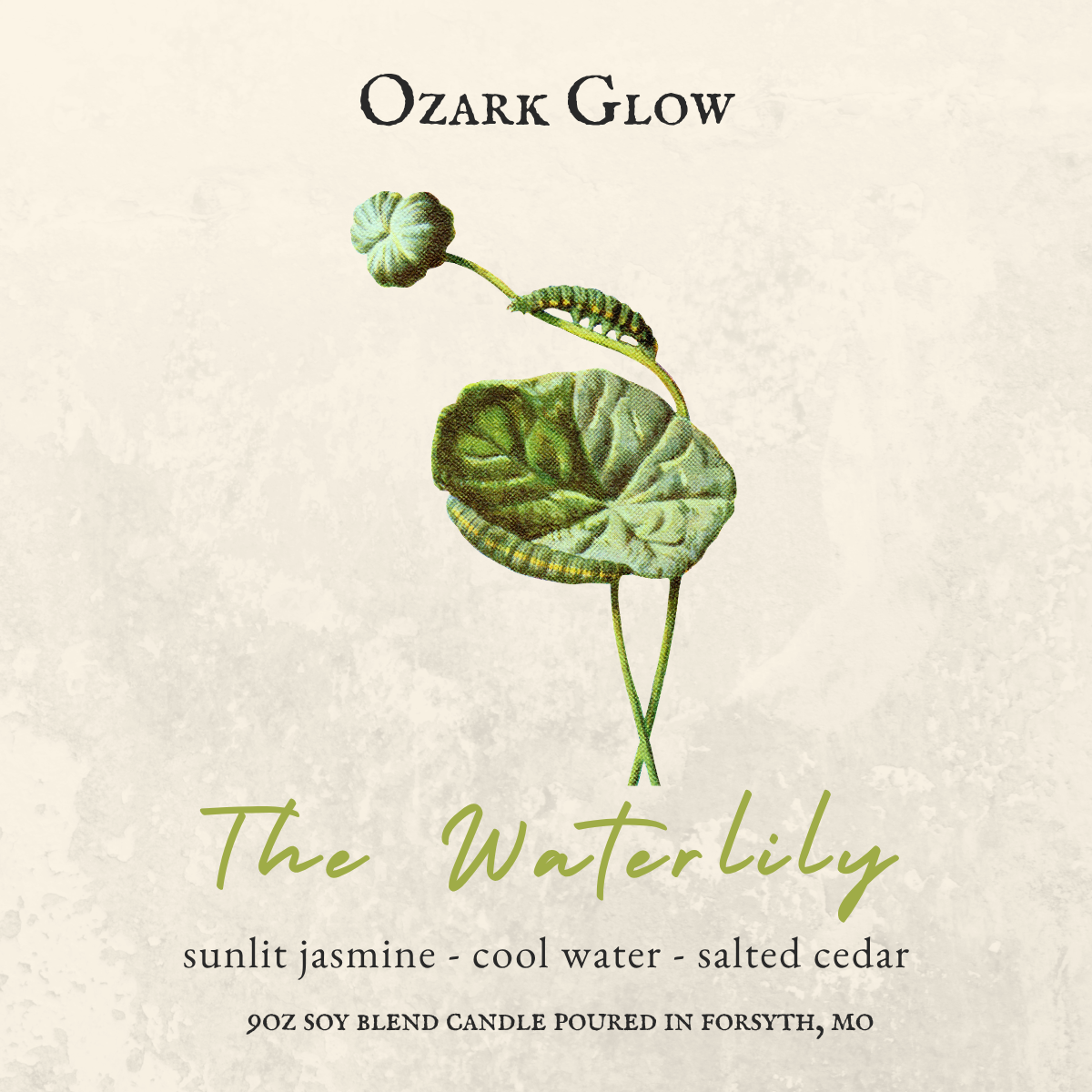 The Waterlily